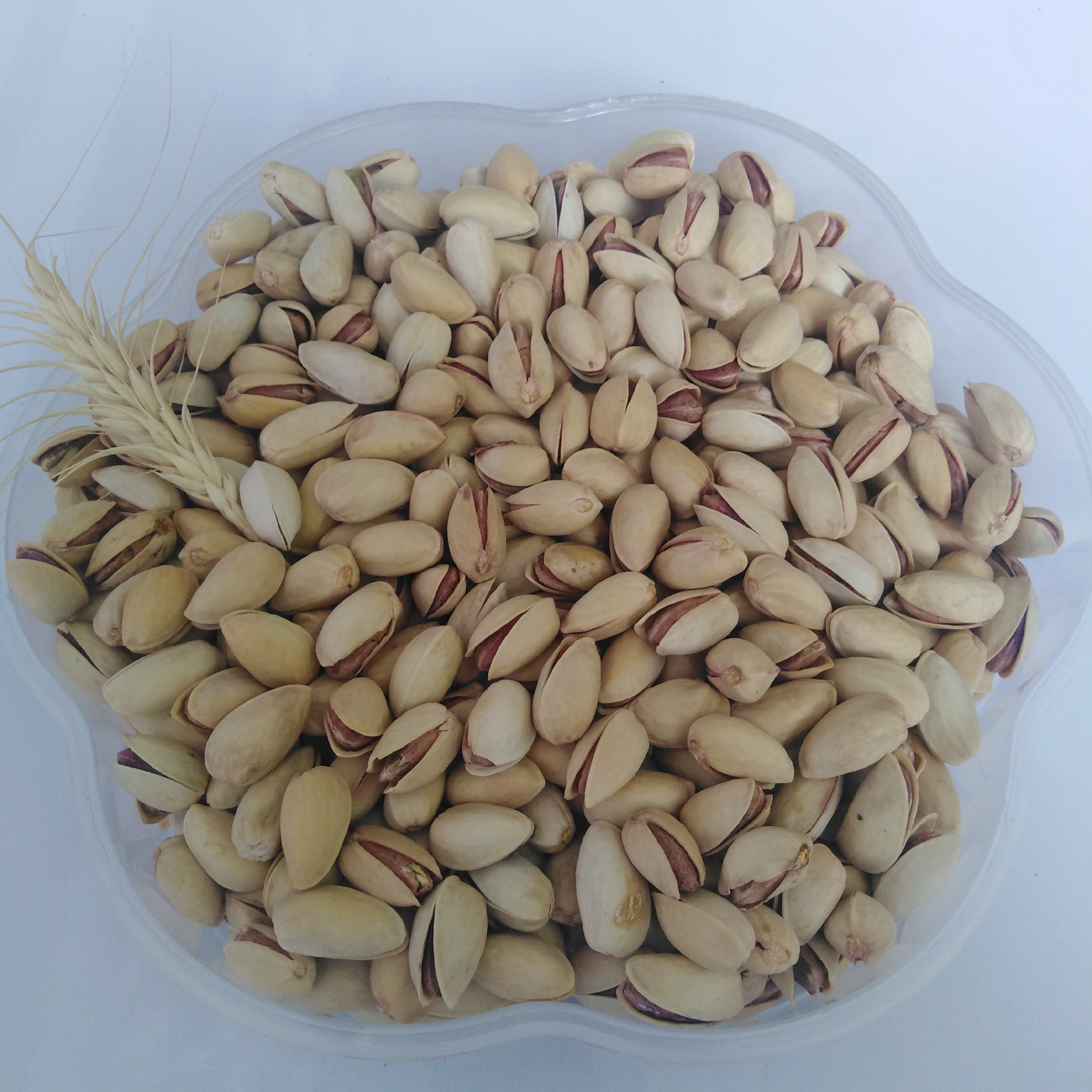 پسته اکبری خام تازه درجه 1 تضمین کیفیت