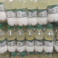 دوغ 250سی سی با طعم نعناع