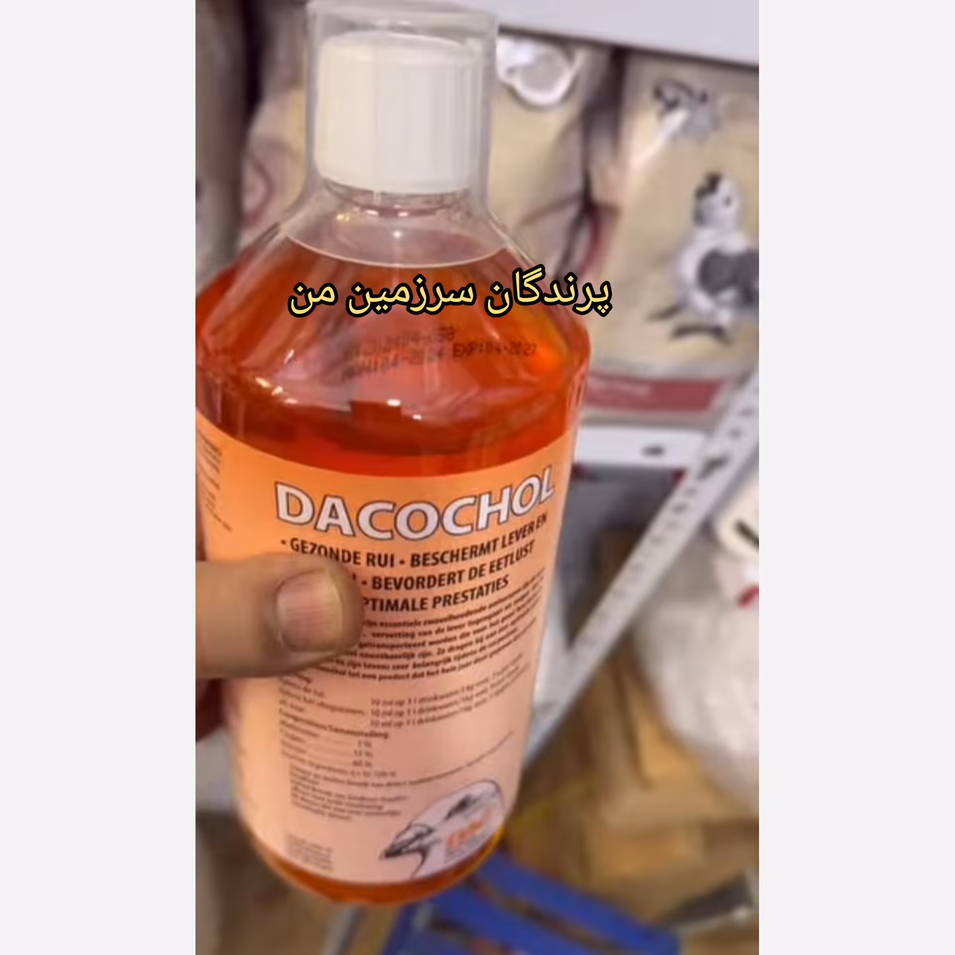 کبدشور داک هلند 10میل پرندگان