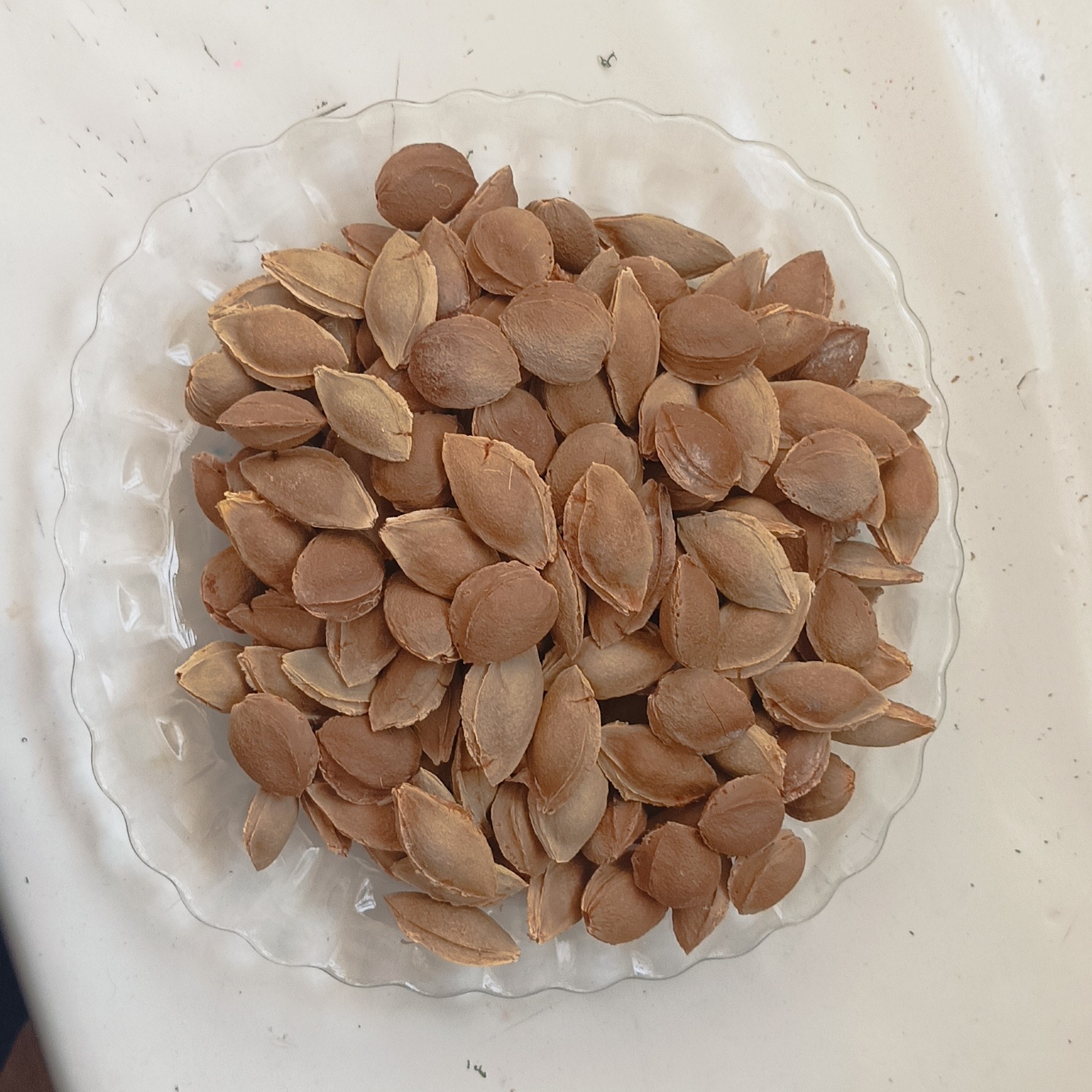 هسته شیرین  زردآلو2700 گرمی ،خام ،با ارسال رایگان 