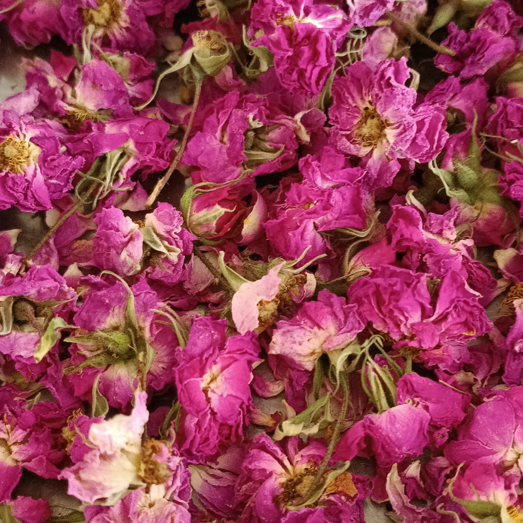 گل محمدی 100 گرمی 