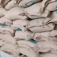 دان قهوه اندونزی 15 کیلویی(عمده)