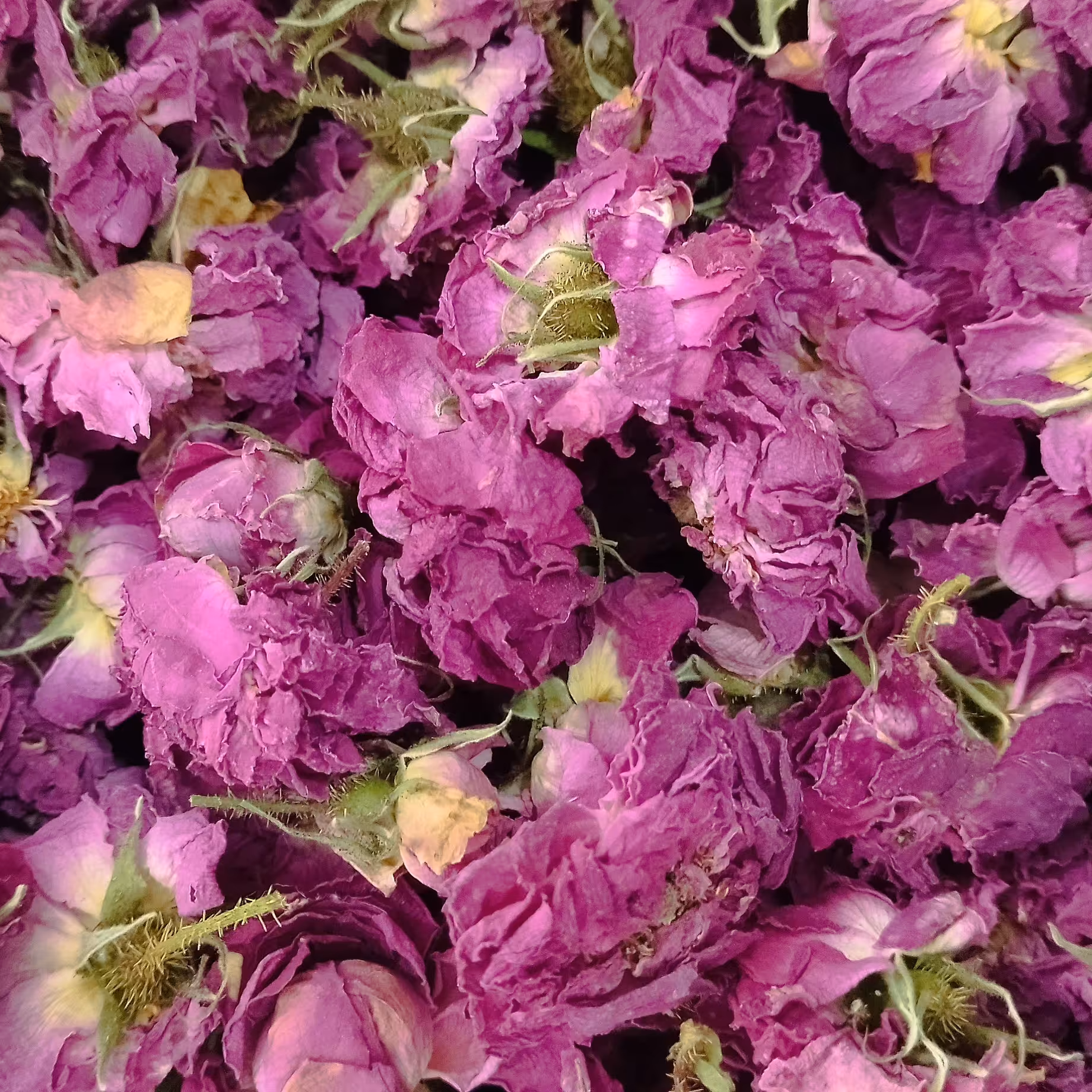 گل محمدی خشک  50 گرمی 