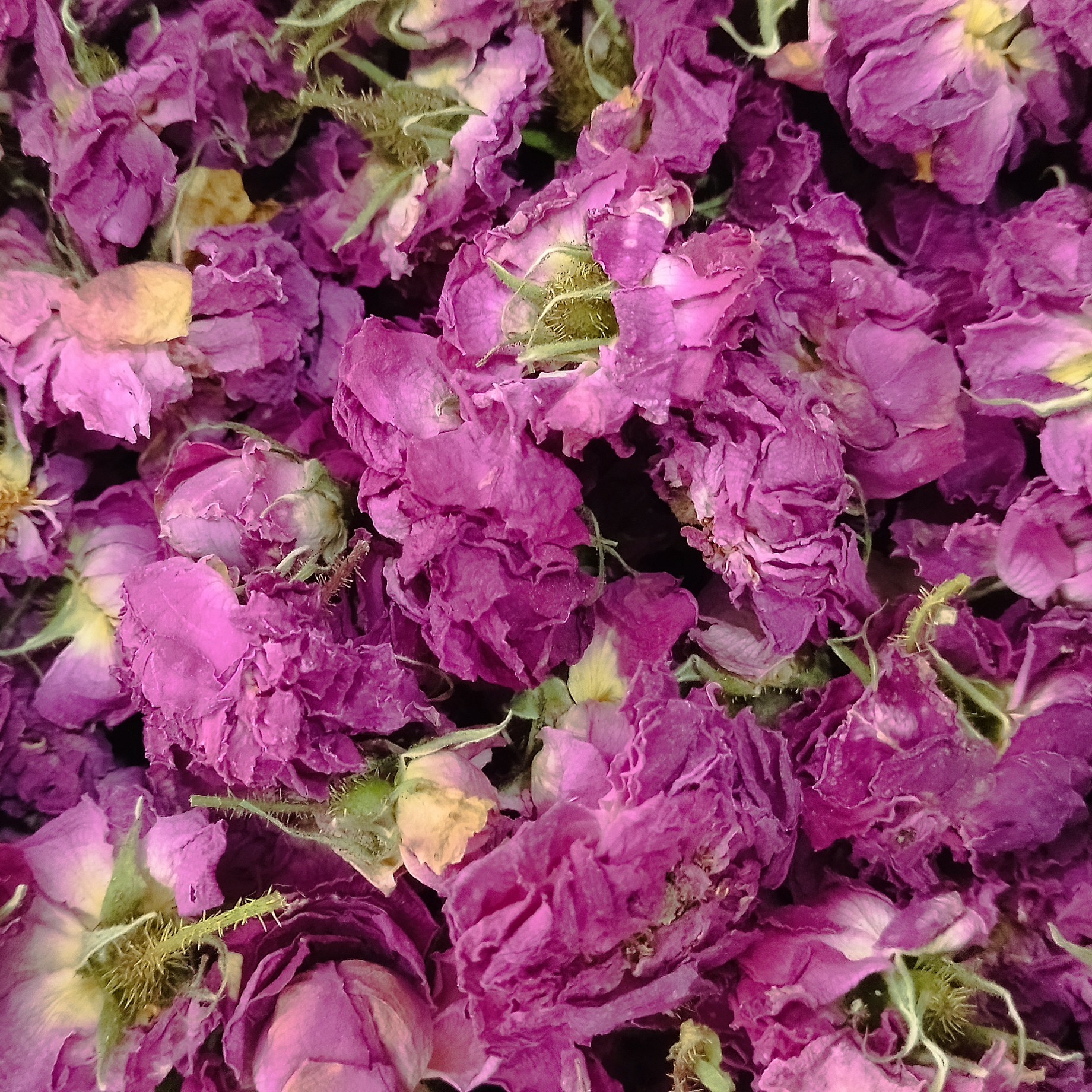 گل محمدی خشک  50 گرمی 