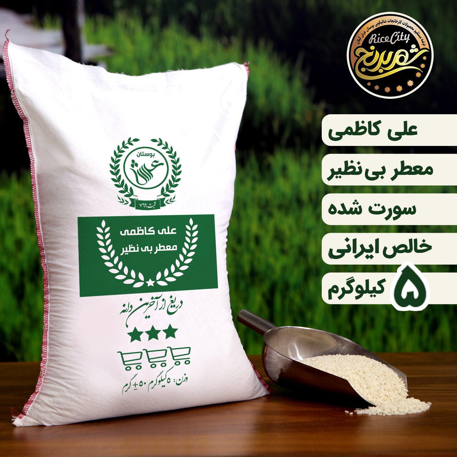برنج علی کاظمی گیلان 5 کیلویی (تضمین کیفیت)