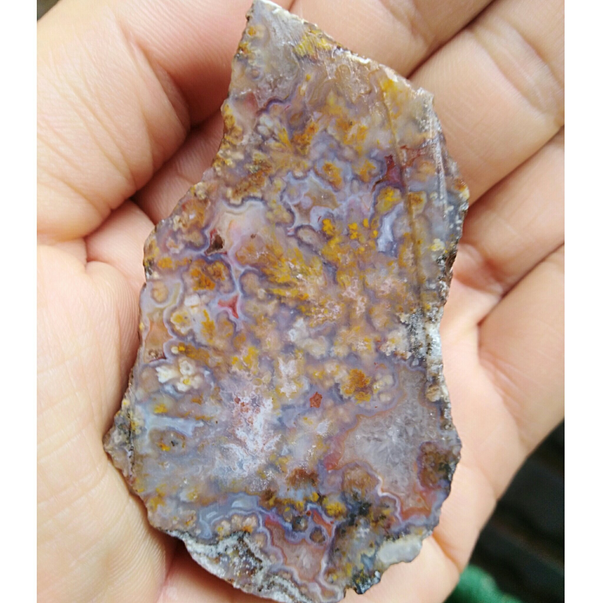 اسلایس راف شجر شکوفه 7رنگ محشرررر کاملا طبیعی