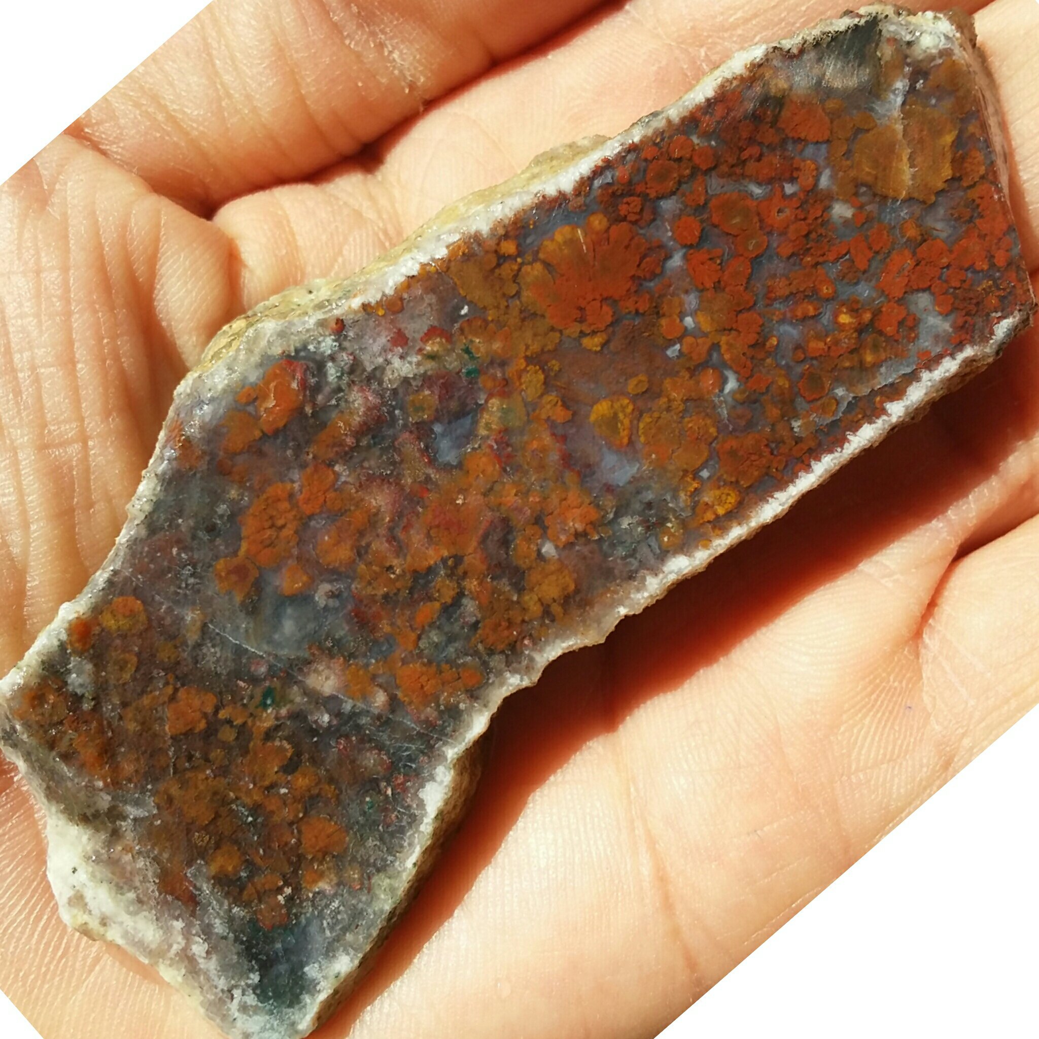 اسلایس سنگ راف شجر منظره 7رنگ کمیاب دیدنی کاملا طبیعی شااااهکار خلقت