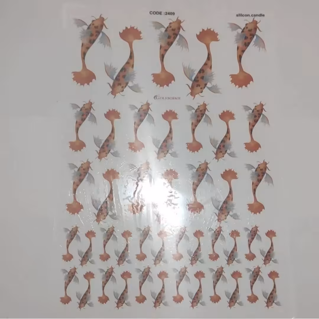 ترانسفر ماهی 6