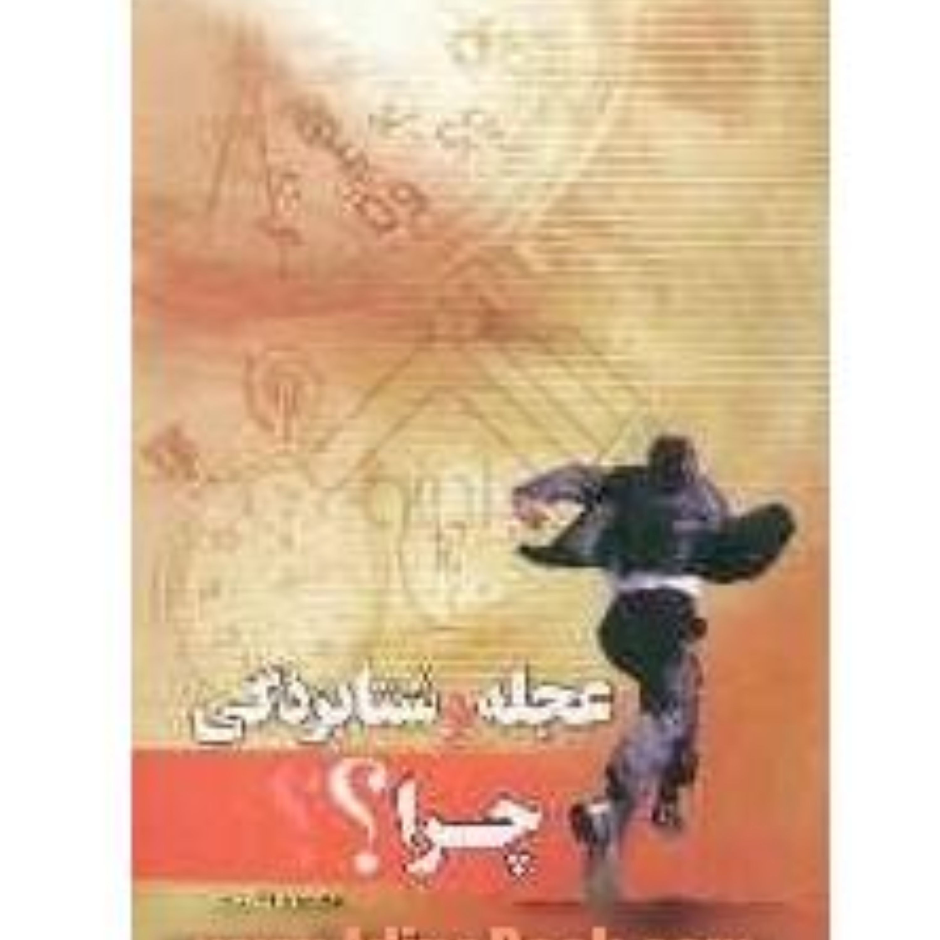 عجله و شتابزدگی چرا نوشته محمود اکبری