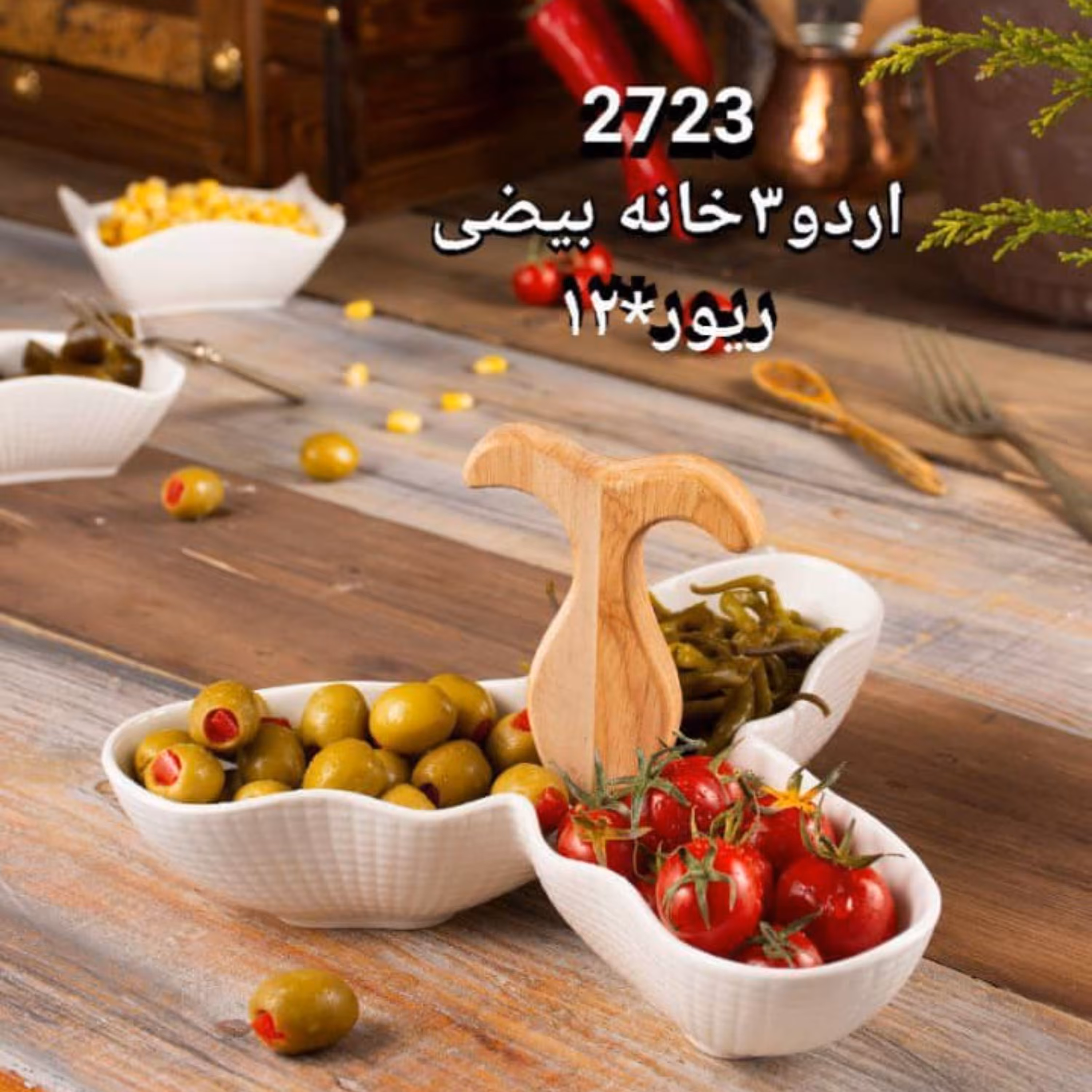 ریور اردوسه خانه بیضی2723