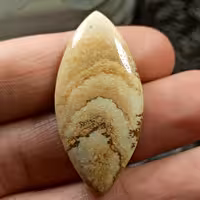 وود جاسپر تراش مارکیز  مناسب دستبند کد 4