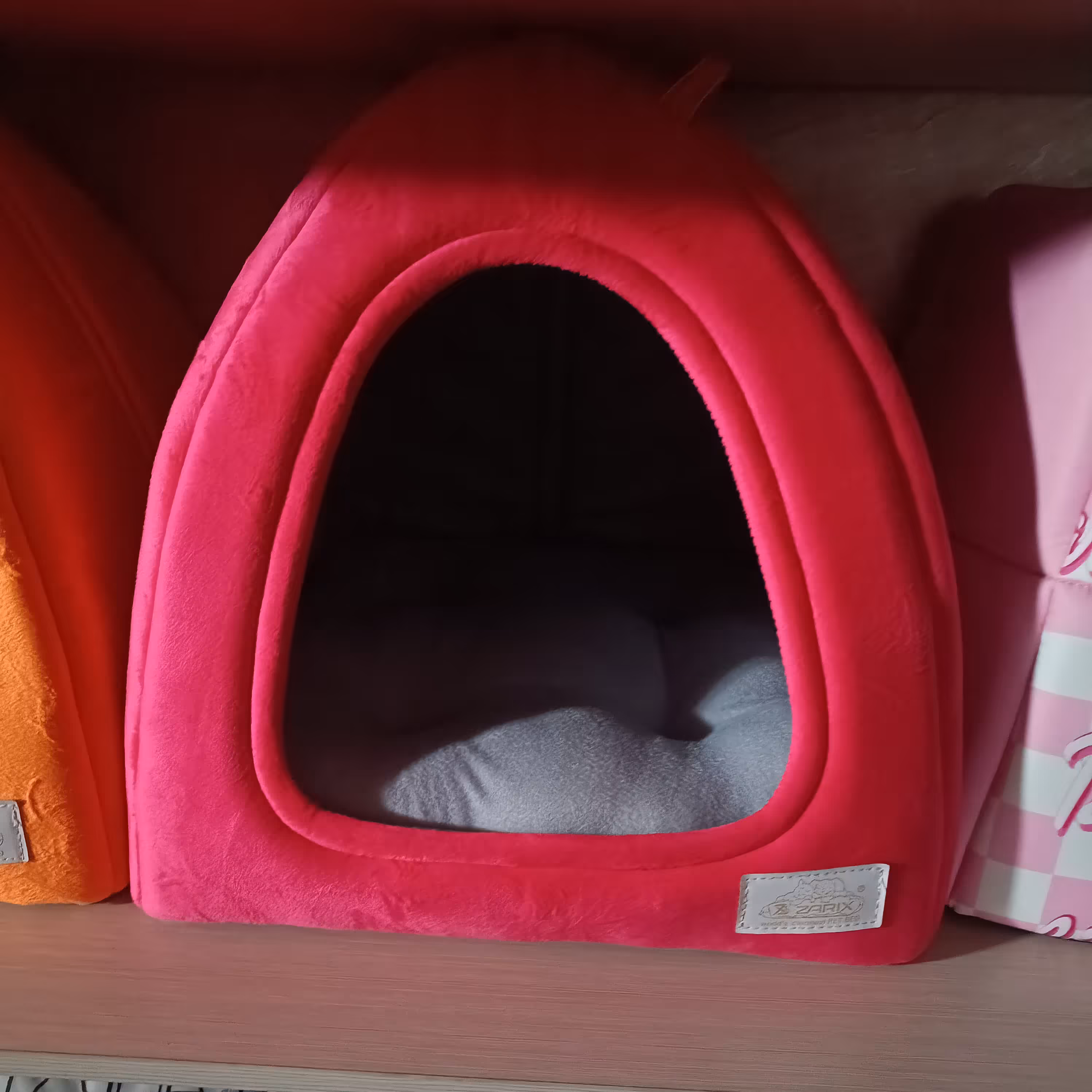 خونه ی سگ و گربه و خرگوش 