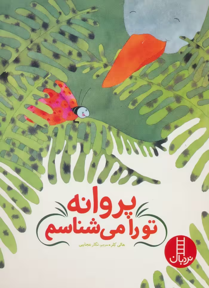 کتاب پروانه تو را می شناسم اثر هالی کلر