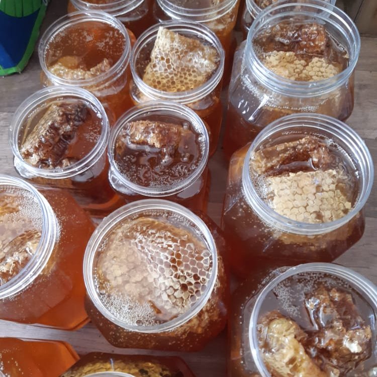 عسل بهاره موم دار ( 6 کیلویی)
