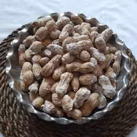 بادام زمینی با پوست نمکی (500 گرمی)