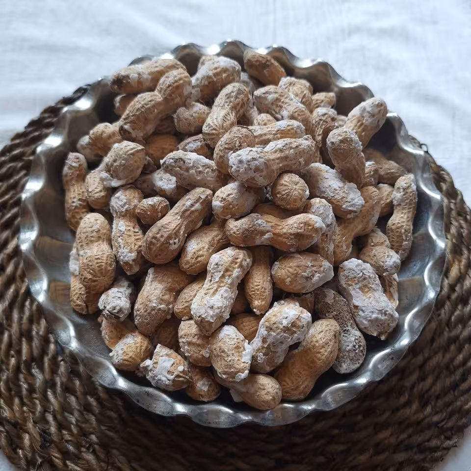 بادام زمینی با پوست نمکی (500 گرمی)