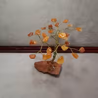 درخت عقیق آفریقایی 3