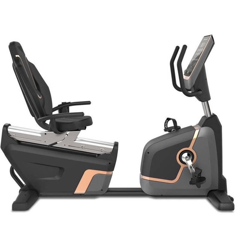 دوچرخه ثابت نشسته پشتی دار تایگر اسپرت مدل PRO 6566