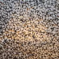 لوبیا چشم بلبلی اعلای ایرانی تینابار