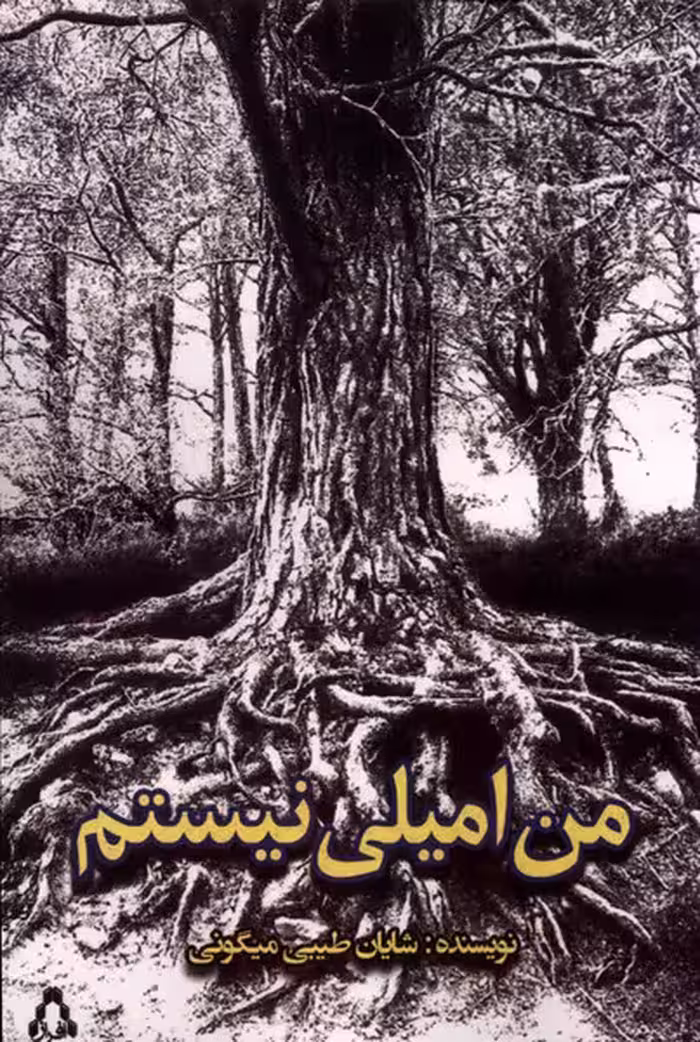 کتاب من امیلی نیستم افراز اثر شایان طیبی میگونی