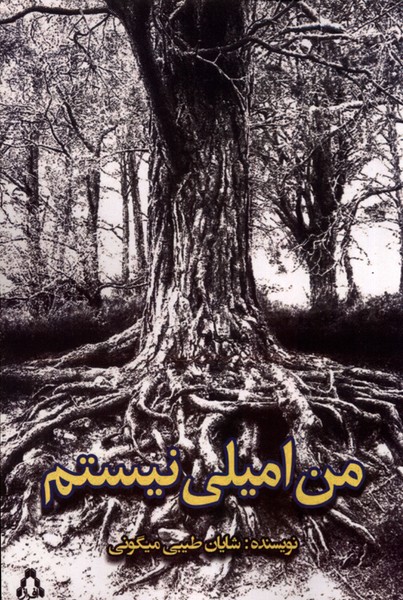 کتاب من امیلی نیستم افراز اثر شایان طیبی میگونی