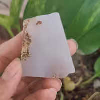 سنگ عقیق کد1