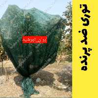 توری ضد پرنده