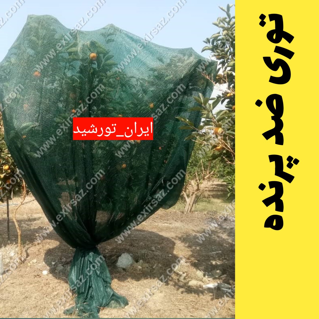 توری ضد پرنده