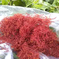 زعفران کشاورز درجه یک 4گرمی تضمینی 