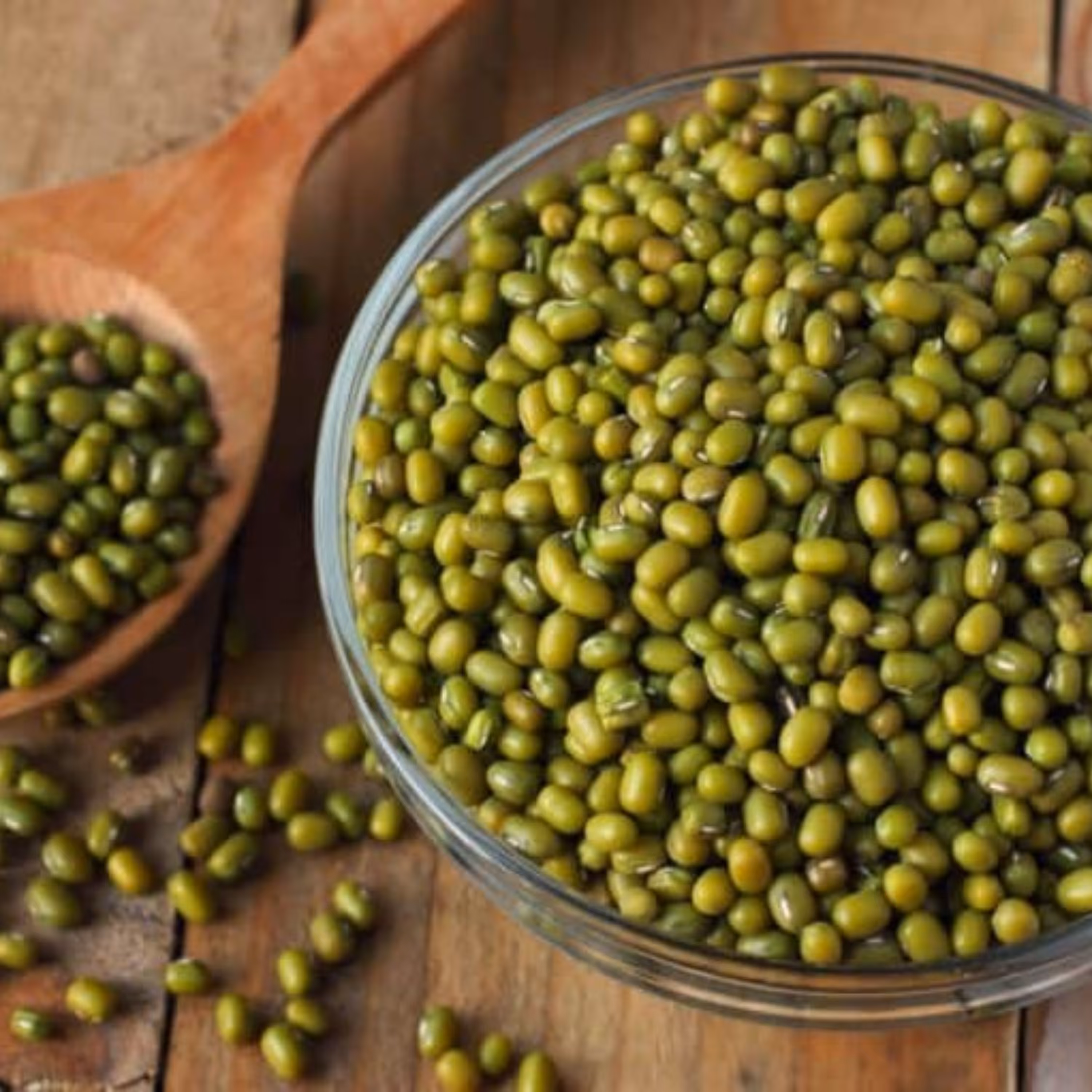 بذر  ماش 20 گرم