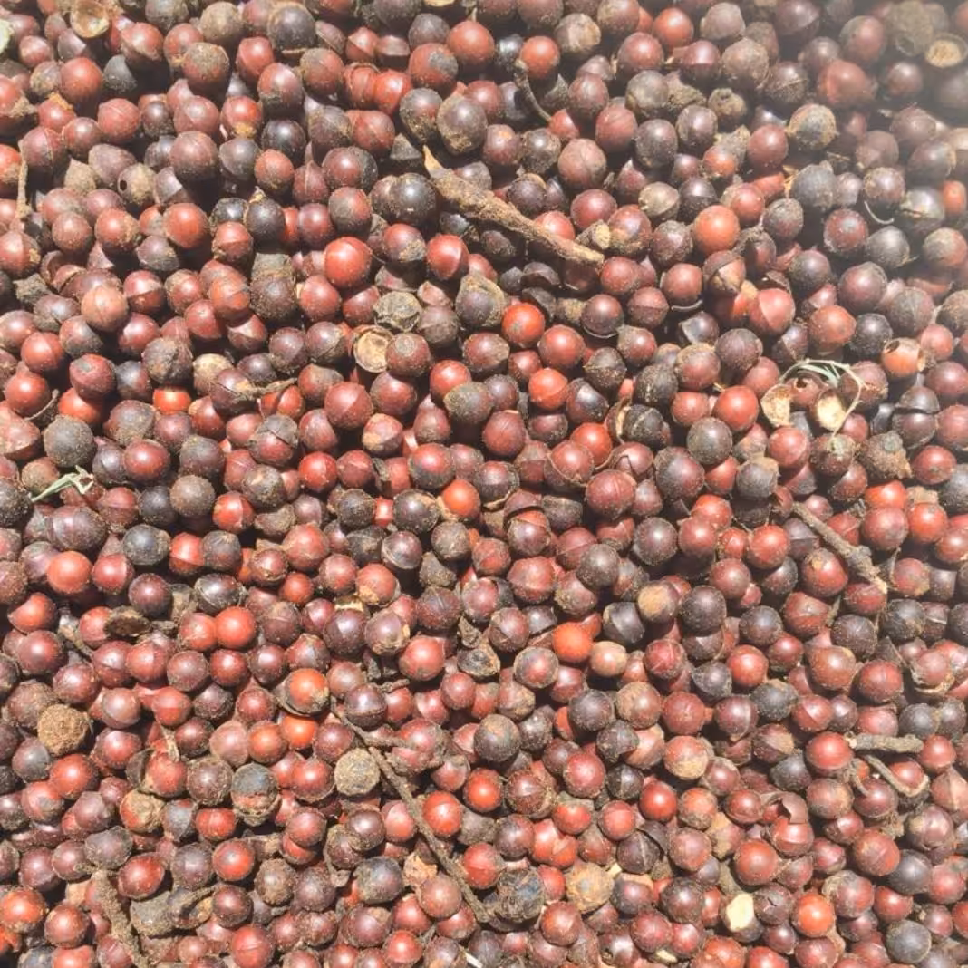 کبابه چینی  100گرمی