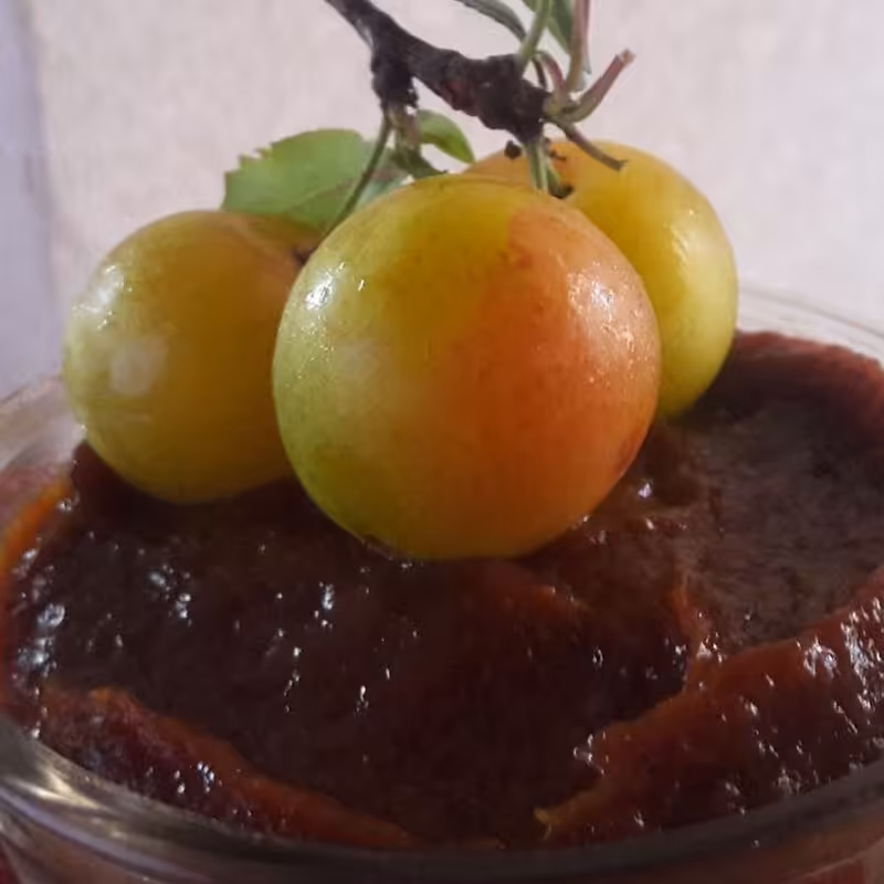 رب آلوچه شیرین گیلان .بسته 1 کیلویی