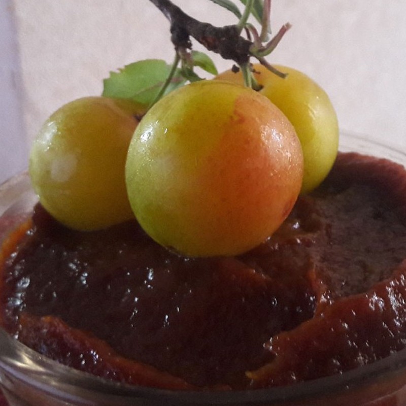 رب آلوچه شیرین گیلان .بسته 1 کیلویی