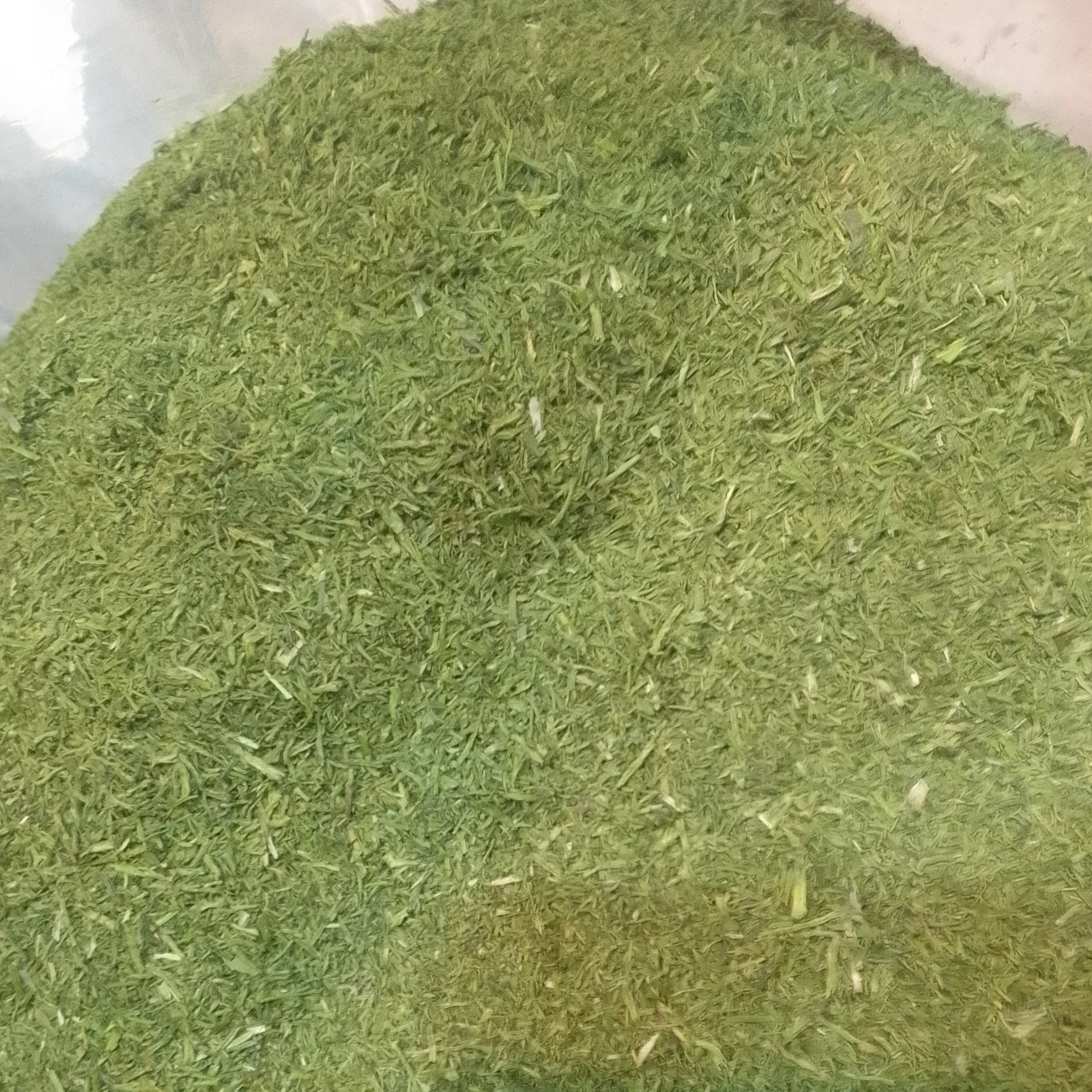 شوید خشک تمیز (300 گرم)