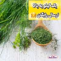 شوید خشک سبز اعلا یک کیلویی اعتماد تازه(سبزی شوید)