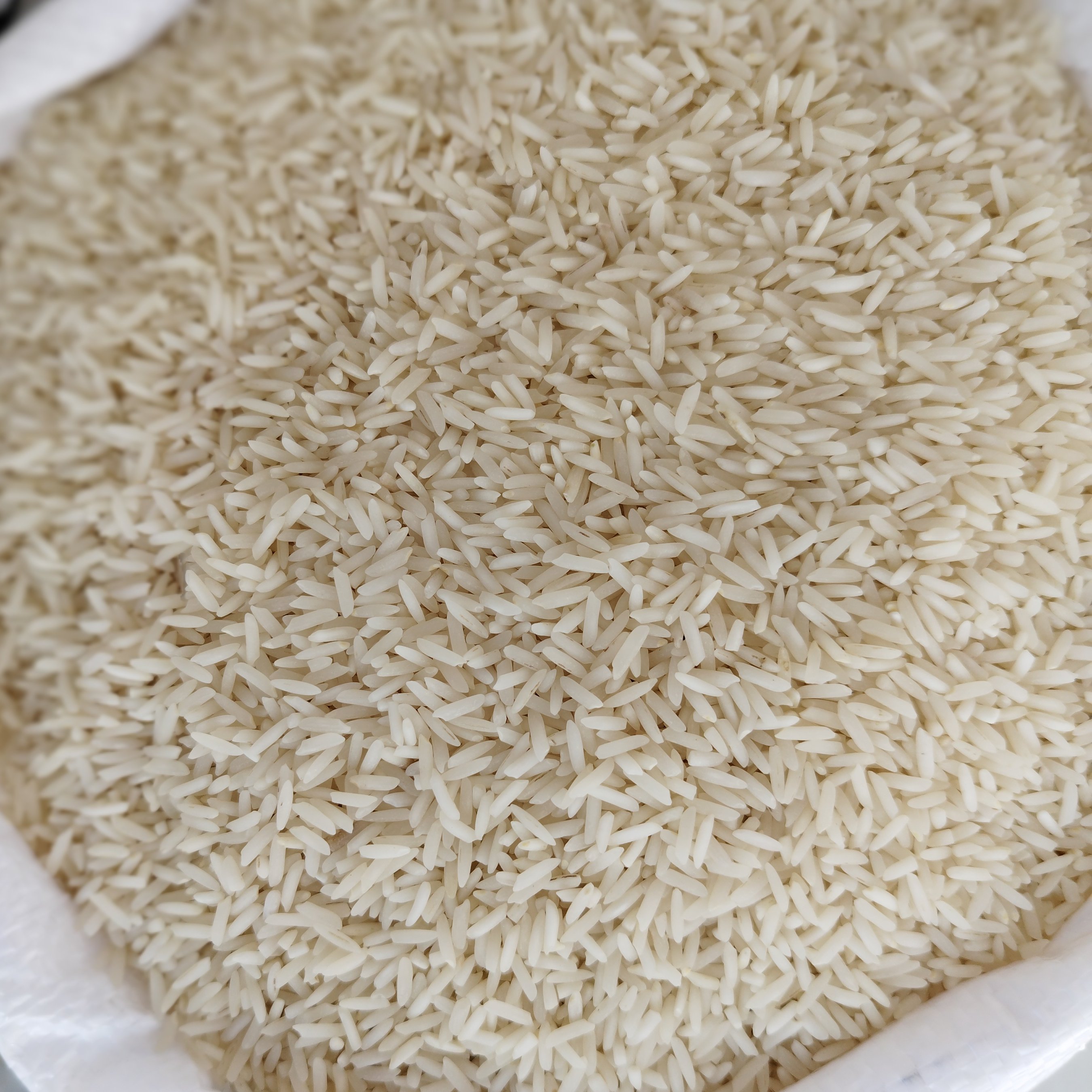 برنج خوشپخت فریدونکنارصددرصد ایرانی خالص مستقیم از تولید کننده 10کیلویی بوجاری ارسال بصورت پسکرایه
