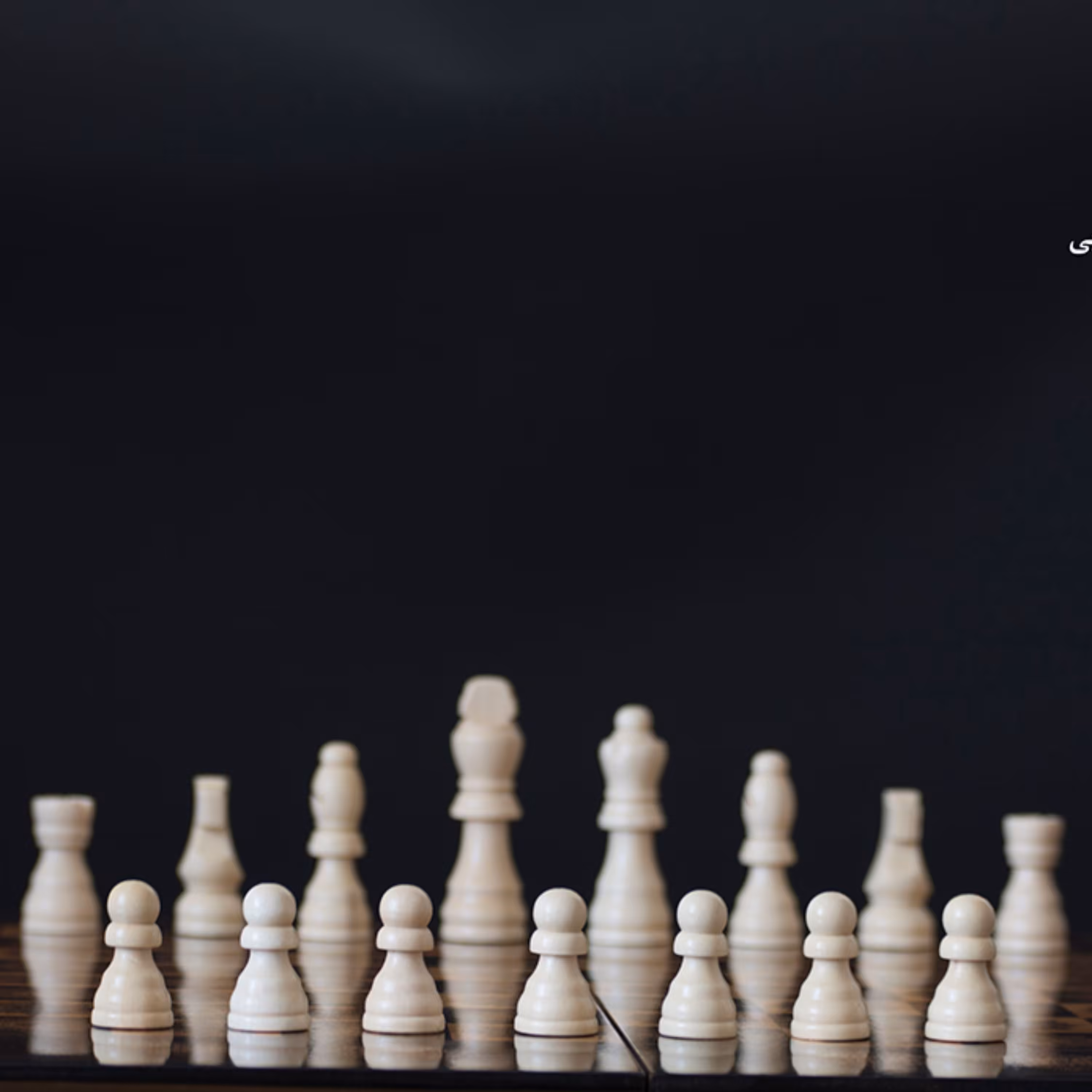 مهره شطرنج چوبی اعلاء