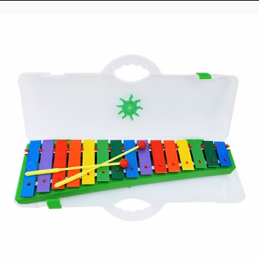 ساز بلز موسیقی کیس دار رها مدل B19