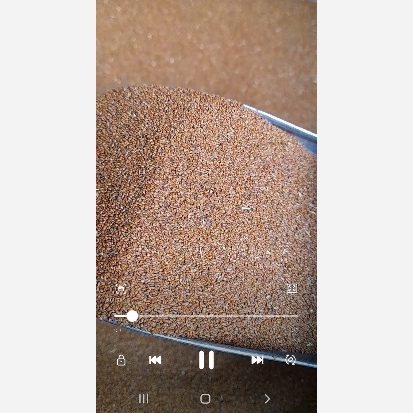 خاکشیر 500گرم