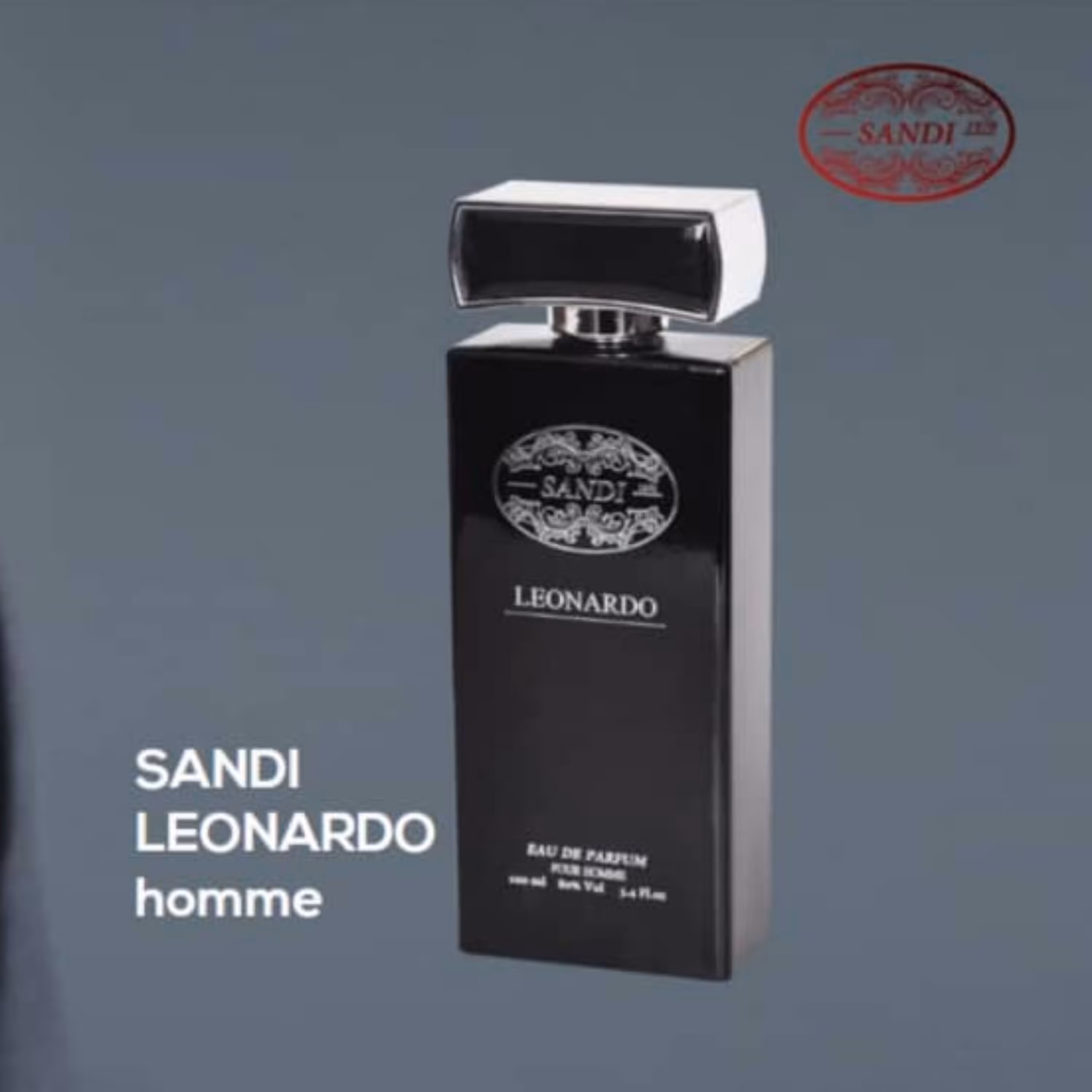 ادو پرفیوم مردانه سندی مدل LEONARDO حجم 100 میلی لیتر
