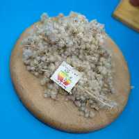 مریم نخودی 100 گرمی آسا