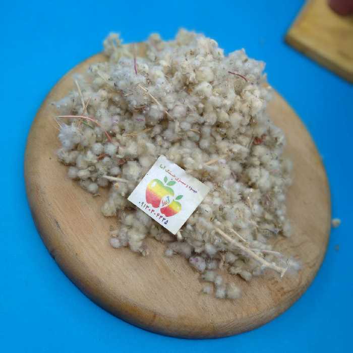 مریم نخودی 100 گرمی آسا