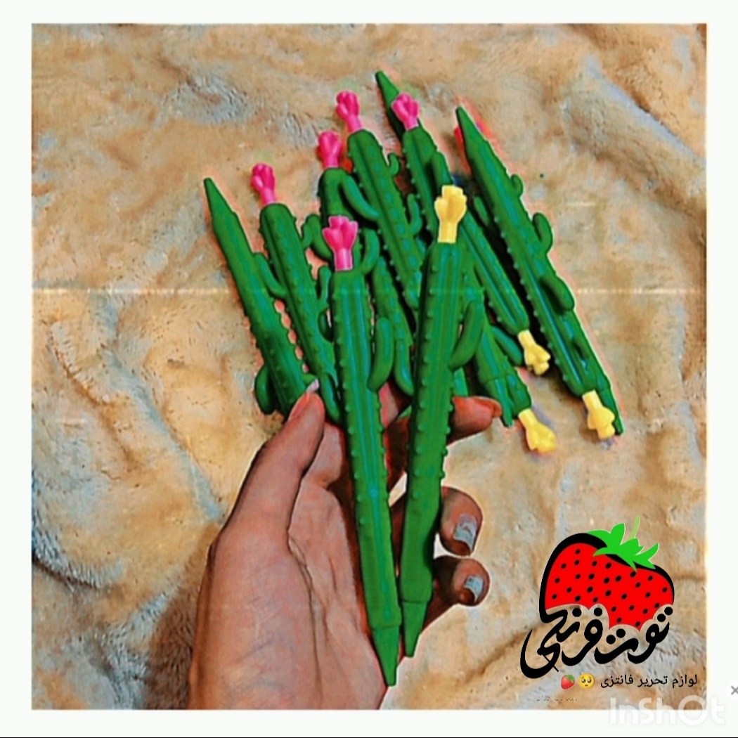 اتود کاکتوس 