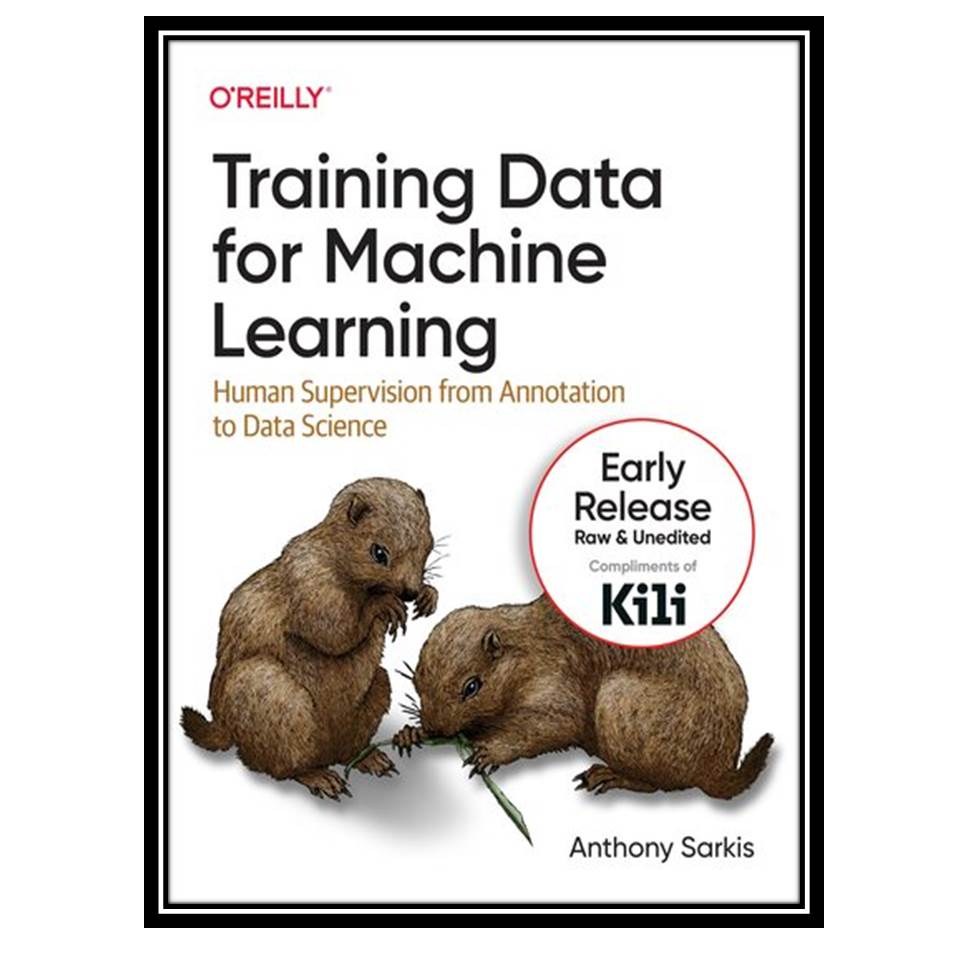 کتاب Training Data for Machine Learning