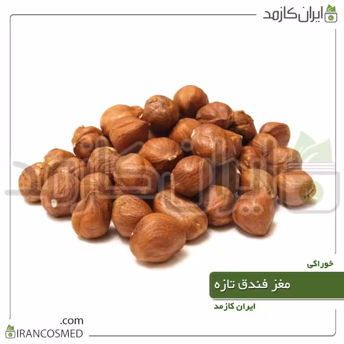 مغز فندق تازه اشکورات برداشت  1402 - خرید و قیمت مغز فندوق  - 500گرمی