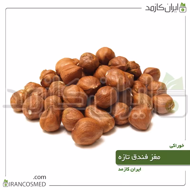 مغز فندق تازه اشکورات برداشت  1402 - خرید و قیمت مغز فندوق  - 500گرمی