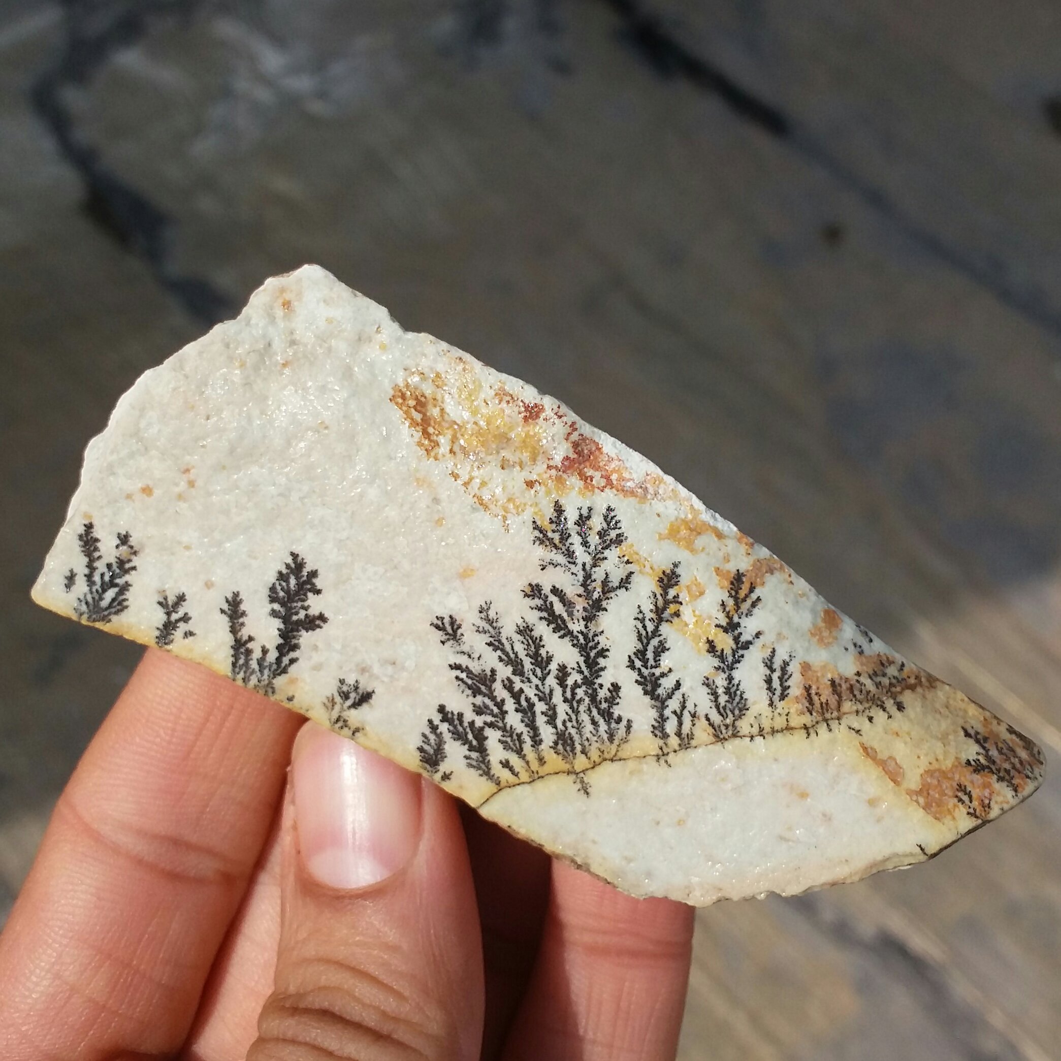 سنگ راف 100 در 100 طبیعی شجر دندریتی یا فسیلی دو طرفه محشر خاص شاهکار خلقت
شجر واضح خاااااااااص
کد 9654