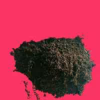 کود کمپوست مخصوص فضای سبز