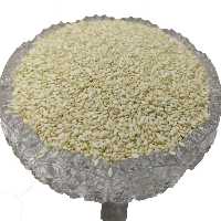 کنجد سفید 250 گرمی بدون پوست