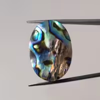 نگین صدف آبالون اصل بر روی یک لایه سنگ سخت     